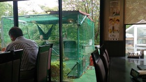 _storage_emulated_0_DCIM_Camera_1442111938217