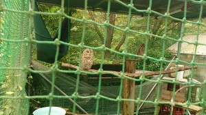 _storage_emulated_0_DCIM_Camera_1442114155968